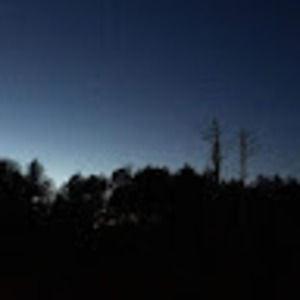 Meet your Posher, Carlos